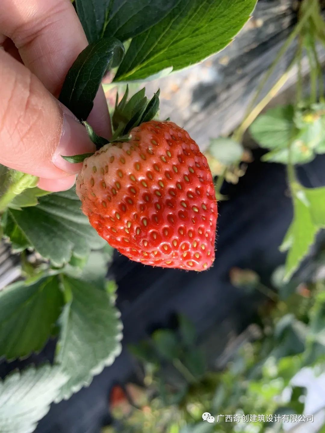 团建活动|携手同行,游在四月--2020广西奇创建筑设计有限公司团建活动(图1) 图片