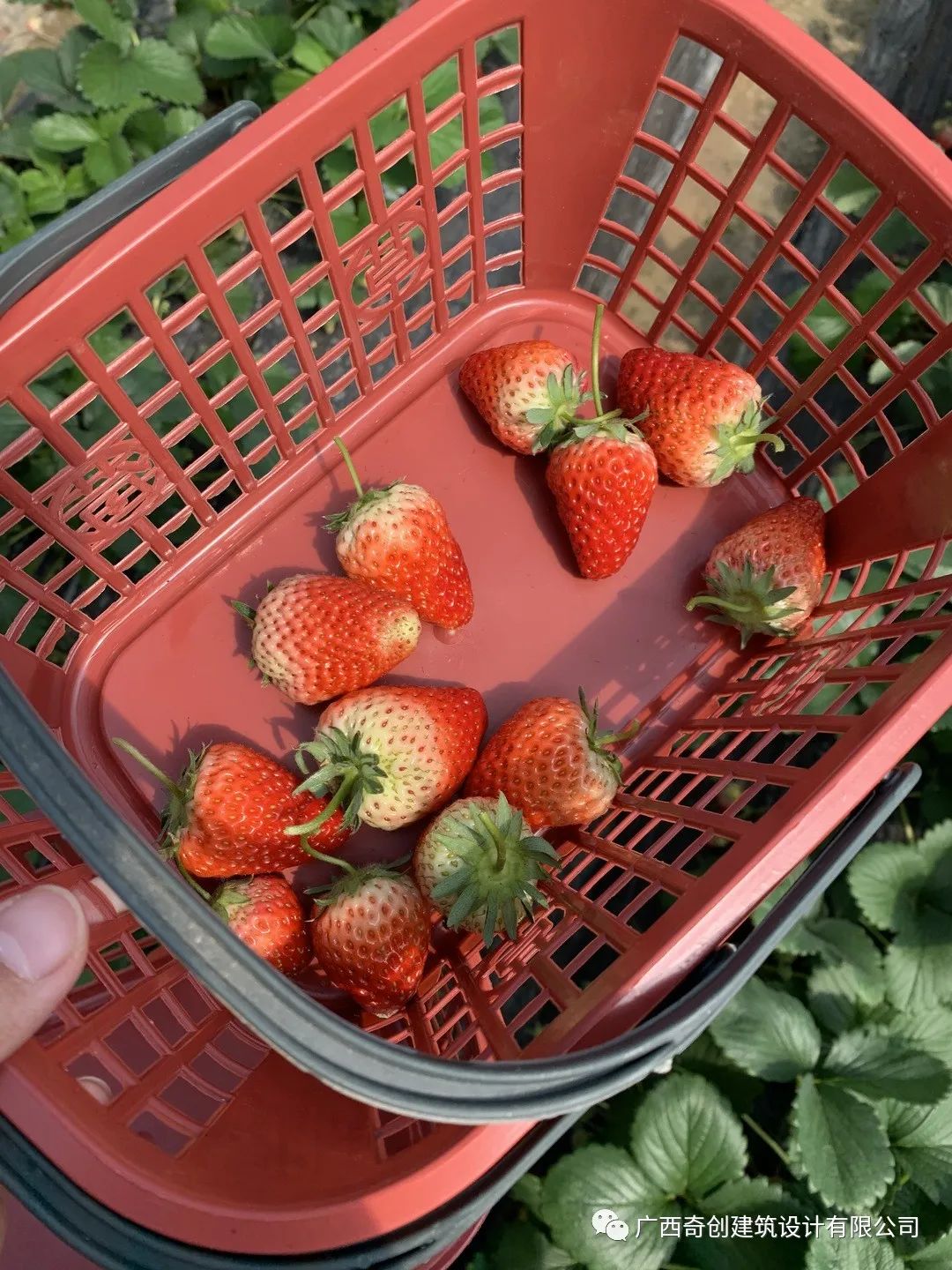 团建活动|携手同行,游在四月--2020广西奇创建筑设计有限公司团建活动(图2) 图片