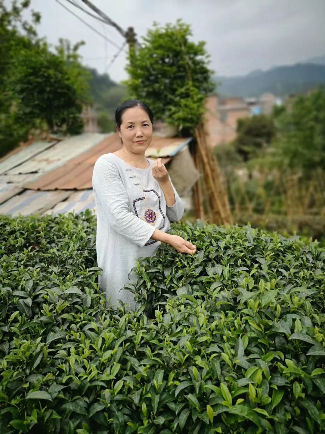 相遇八月,未来可期--奇创2020年8月生日榜(图4) 图片