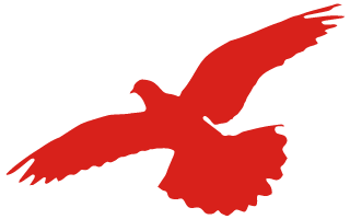 骐创团建活动|重温历史缅怀先烈(图4) 图片