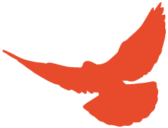 骐创团建活动|重温历史缅怀先烈(图5) 图片